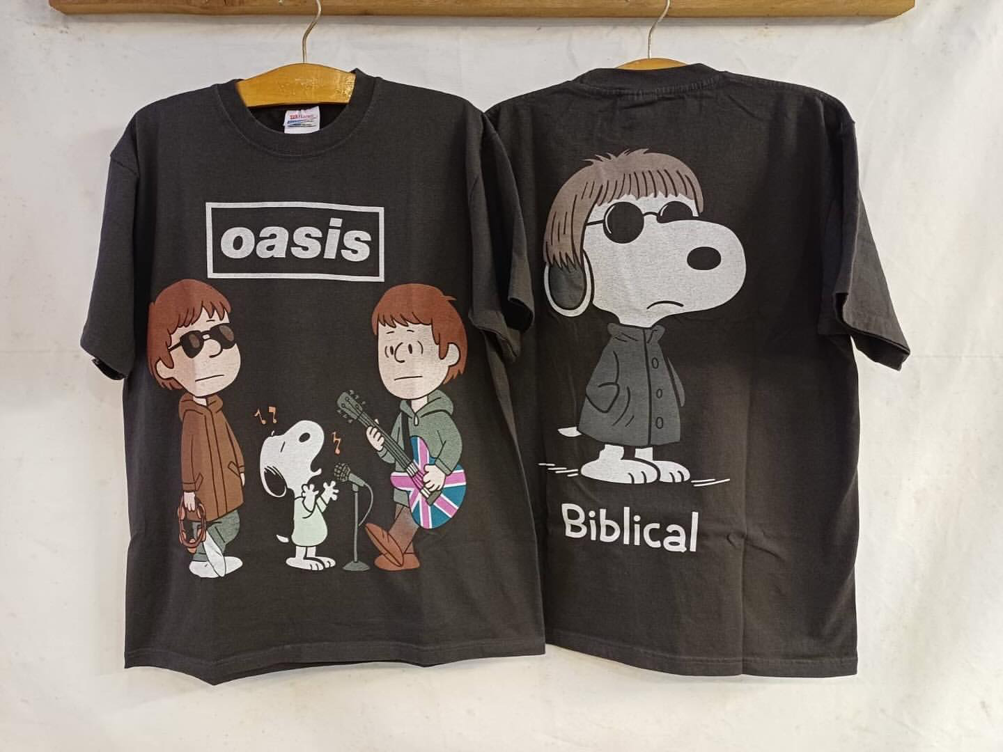 OASIS 2
